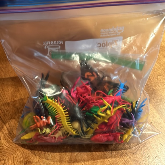 Insect Bugs Classroom Toy Lot with Metamorphosis Pieces - Picture 7 of 7